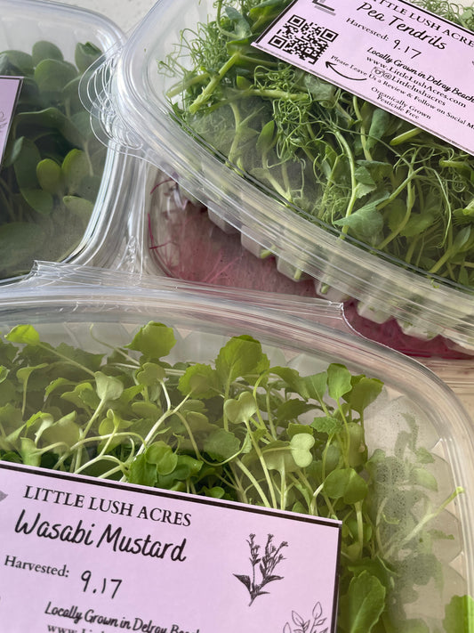 Microgreens Near Me