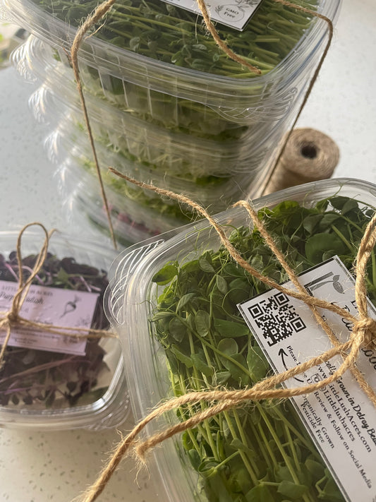 Karen's Crate of Curious Microgreens