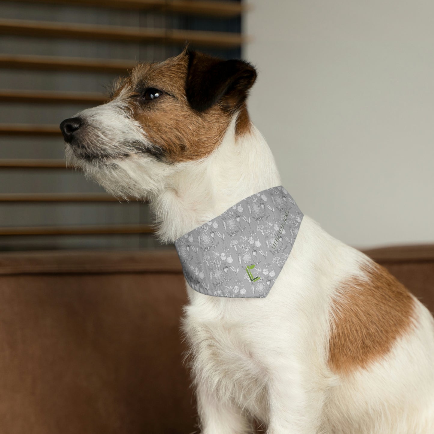 Pet Bandana Collar